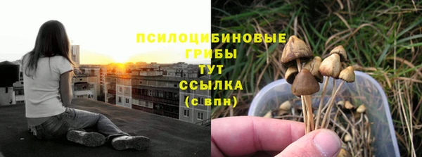крисы Алзамай