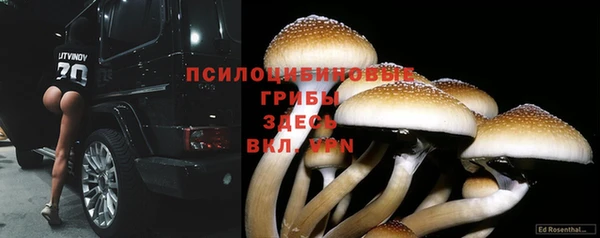 не бодяженный Алексин