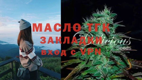 сатива Алексеевка
