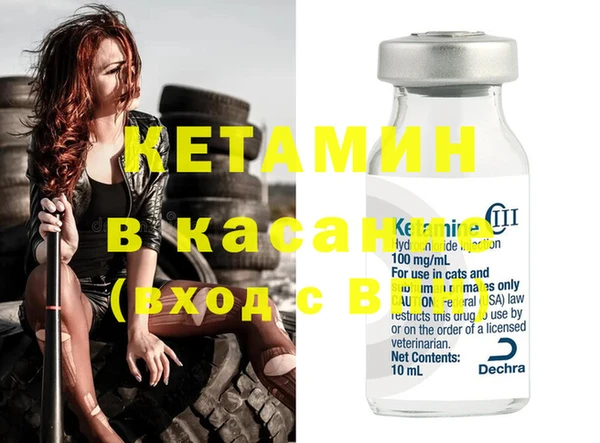 крисы Алзамай