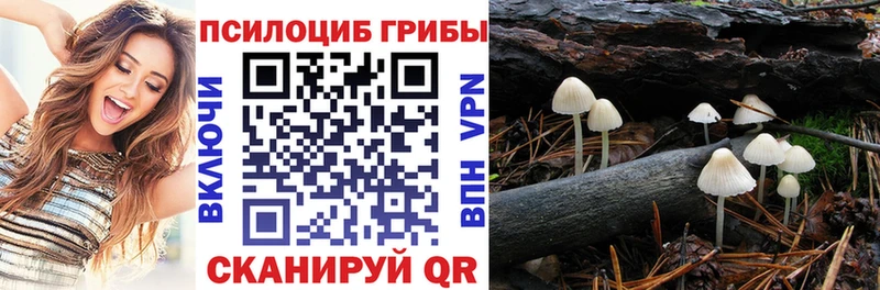 гидра зеркало  Усть-Илимск  Галлюциногенные грибы Magic Shrooms 