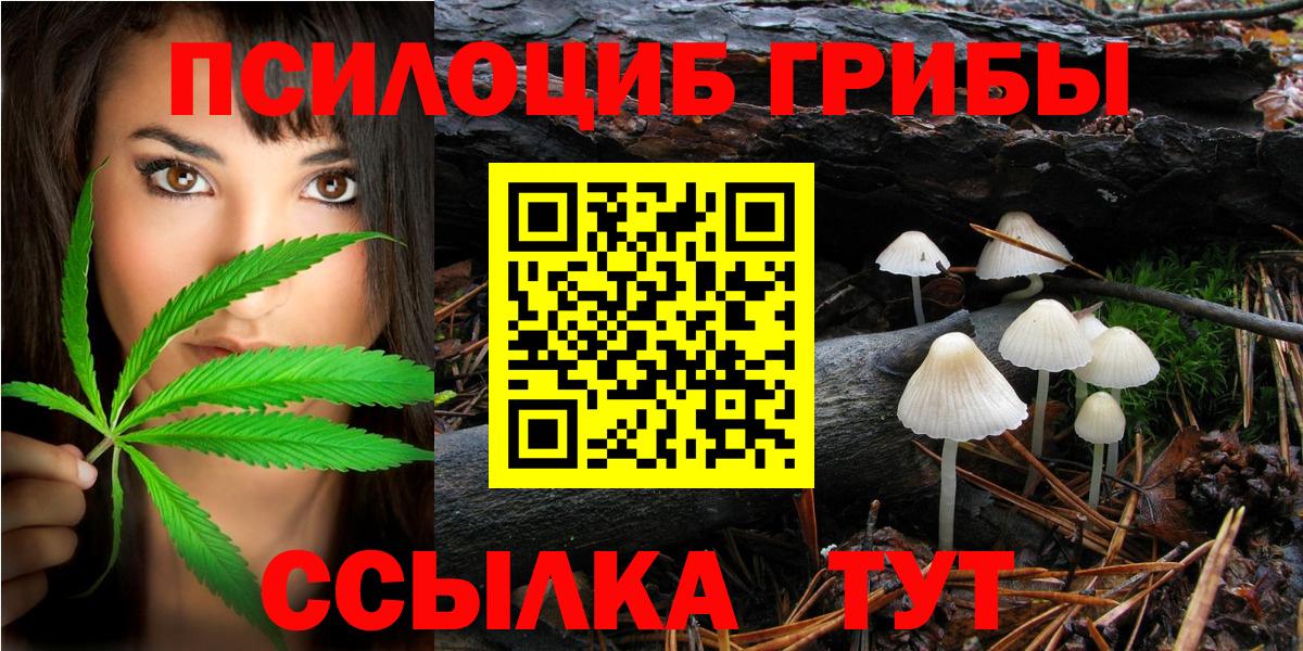 Усть-Илимск  Псилоцибиновые грибы мухоморы  как найти закладки  Вход с VPN 